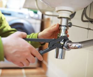 About The Faucet Pros Carnation, WA